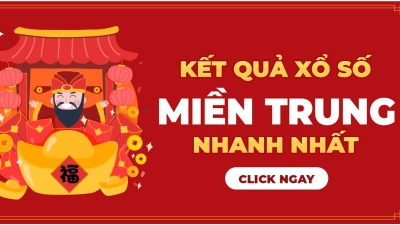 Dự đoán kqxs miền Trung ngày 14-11-2024